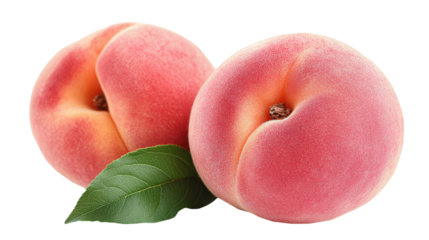 Two ripe, fuzzy peaches rest next to a vibrant green leaf. The fruit features a smooth, velvety skin with a lovely blush. Ideal for illustrations, recipes, or fruit-themed designs.