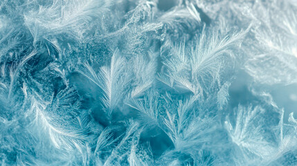 Obraz premium Delicate frost patterns on a cold winter morning