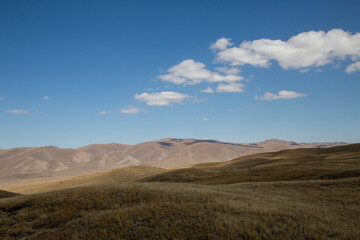 Vast Grassland with Rolling Hills and Blue Sky