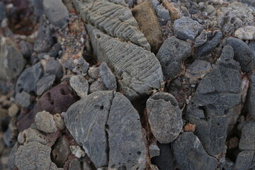 coal on a coal