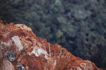 red rock climber on a rock