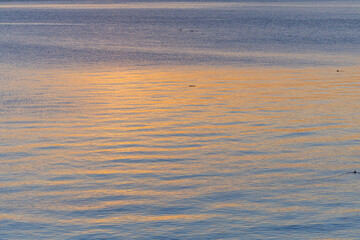 Golden Sunset Over Calm Waters in Victoria, Vancouver Island, BC