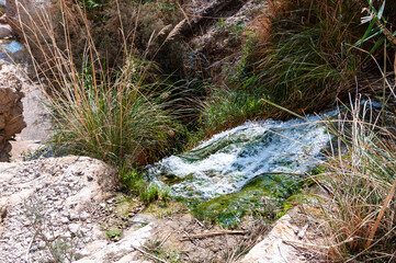 A stream of water flows through a rocky area with grass and weeds