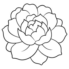 simple peony line art design.