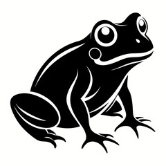 frog on white background