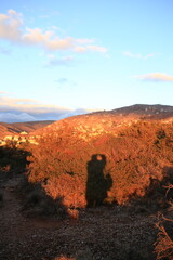 sunset in the desert