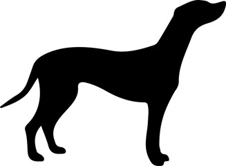 Dog clip art design on plain white transparent isolated background for card, shirt, hoodie, sweatshirt, apparel, card, tag, mug, icon, poster or badge