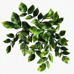 Realistic Green Leaves on Branches in Raw Style