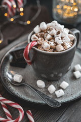 Mug with hot chocolate, marshmallows and candy cane