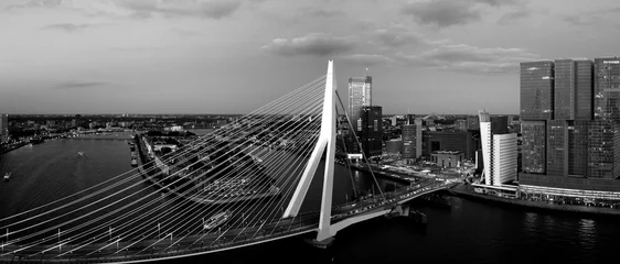 Aerial view of the city of Rotterdam at sunset, The Netherlands