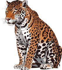 Obraz premium Adobe Illustrator Artwork