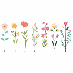 colorful tulips vector illustration