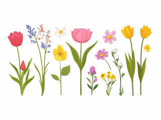spring flowers vector illustration
