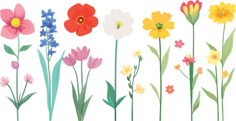 Obraz premium spring flowers vector illustration