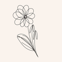 hand drawn flowers