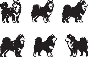 Alaskan Malamute Dog Vector illustration, silhouette clip art