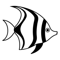 fish isolated on white background