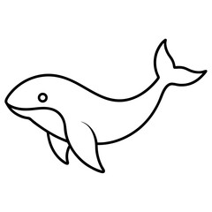 dolphin isolated on white
