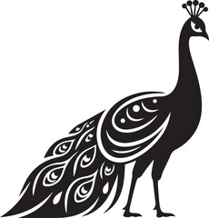 Peacock vector illustration, Peacock silhouette vector illustration