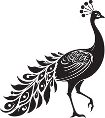 Peacock vector illustration, Peacock silhouette vector illustration