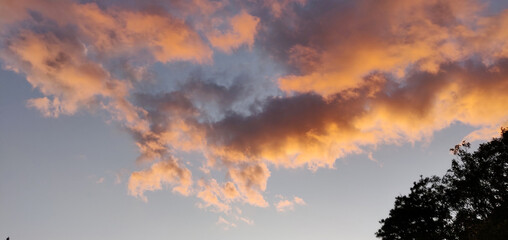 bird flies through colorful clouds in the sky
