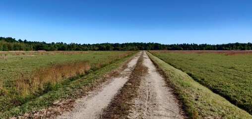 Road in the countryside of Middleboro, MA by the cranberry bog