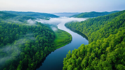Aerial View of a Winding River in a Forest