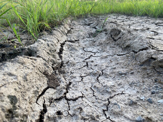 dry soil in the garden