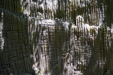 close up old cement wall texture