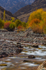 Long exposure of water flowing downstream from mountain during autumn season.