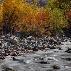 Long exposure of water flowing downstream from mountain during autumn season.