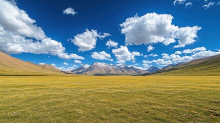 Obraz premium Vast, sunny grassland meadow with snow-capped mountains under a vibrant blue sky dotted with fluffy white clouds.