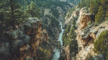 Serene River Gorge: A Breathtaking View of Nature's Majesty