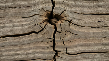A close-up texture of aged, weathered wood with deep grain lines and natural cracks, ultra-detailed 8K resolution