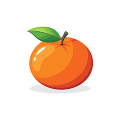 Blood Orange fruit isolated flat vector illustration on white background.