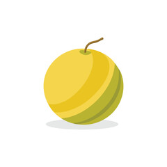 Canary Melon fruit isolated flat vector illustration on white background