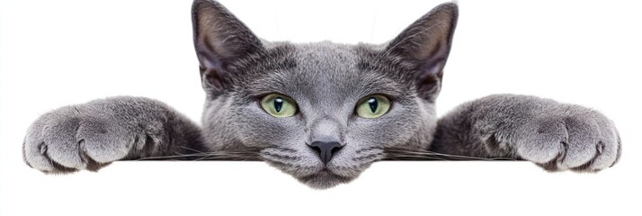 A gray cat peeking over a surface with green eyes.