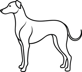 Cat Silhouette. cat  showcasing diverse feline poses sitting, standing, walking, jumping. Black silhouettes