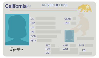 California driver's license with female silhouette isolated on white background. Person driver license