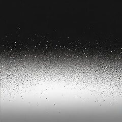 Obraz premium Captivating Black and White Glitter Textures