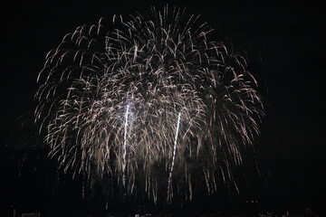 fireworks in the sky