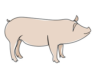 Pig in continuous line style and can be edited later