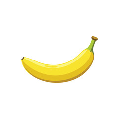 Banana fruit isolated flat vector illustration on white background.