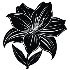 Fototapeta premium Amaryllis flower silhouette vector illustration on white background