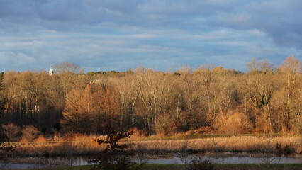 The forest landscape with the sunset sunlight on them in winter  © Bo