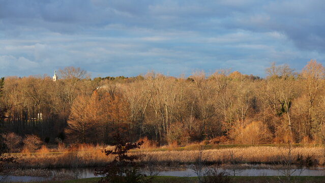 The forest landscape with the sunset sunlight on them in winter
