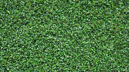 lush green foliage and vibrant plant textures for natural backgrounds