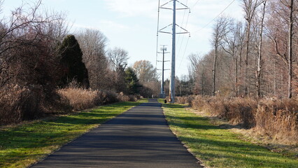 The forest view with the narrow country road across them in winter
