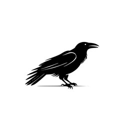 Fototapeta premium raven or crow bird logo vector illustration design