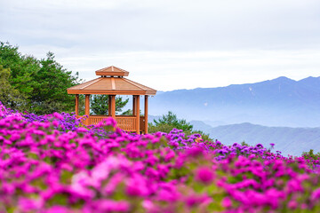 hiking travel 